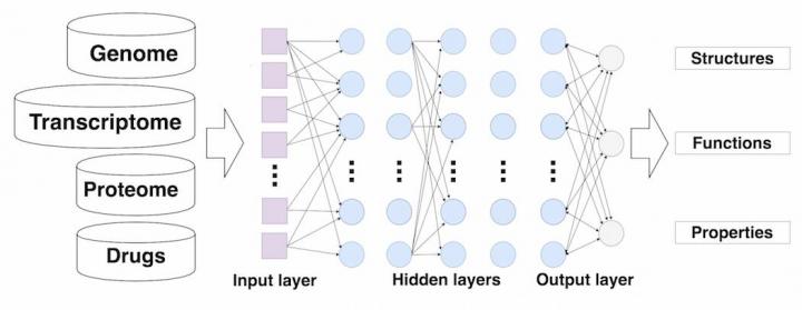 Deep_Learning_Applied_to_Drug_Discovery.jpeg