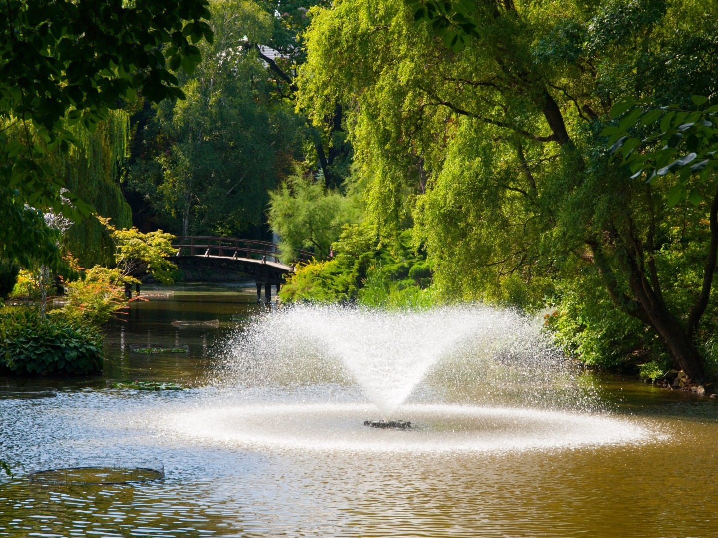 Factors_to_Consider_Before_Purchasing_Pond_Fountains.jpg