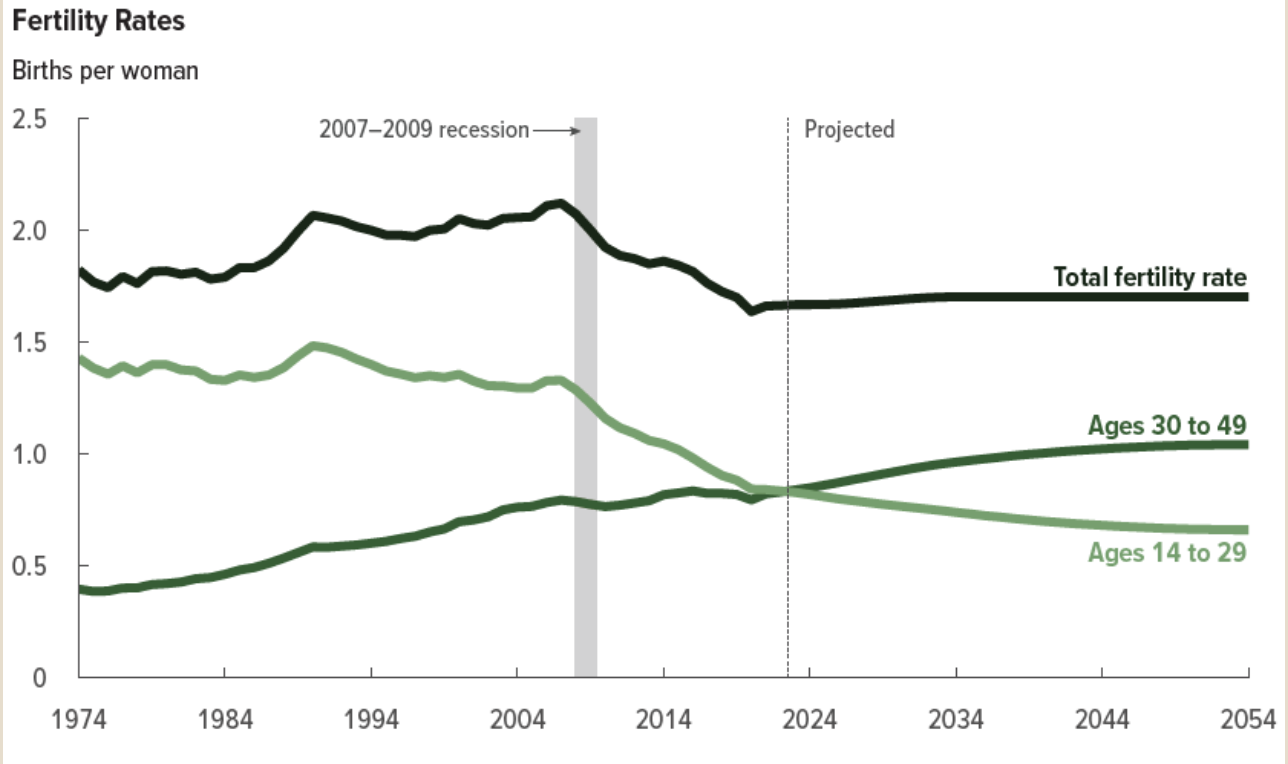 Fertility_Rates_per_Women.png