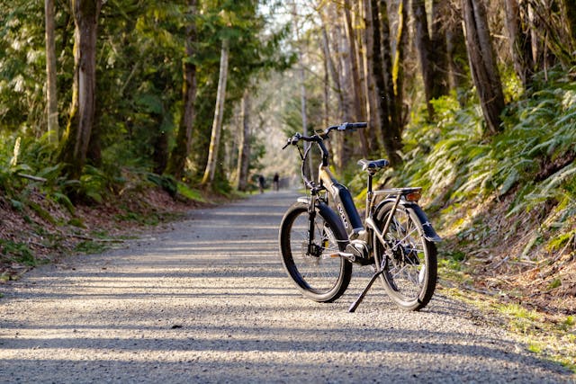 Future_Trends_E-Bikes.jpg