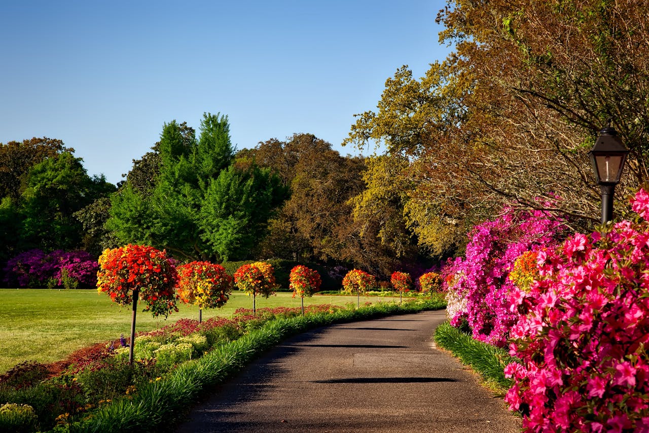 7 Surprising Flower Care Hacks Backed by Science