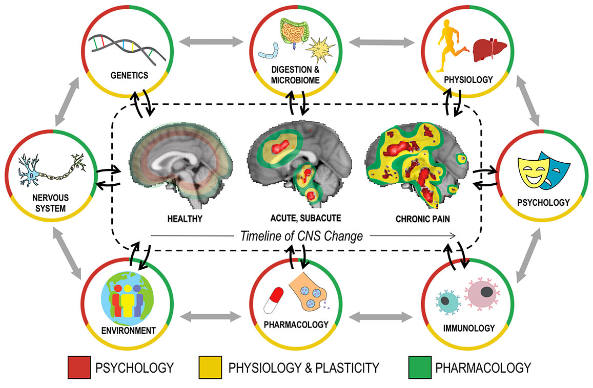 Neuroscience_and_Human_Affect.jpeg