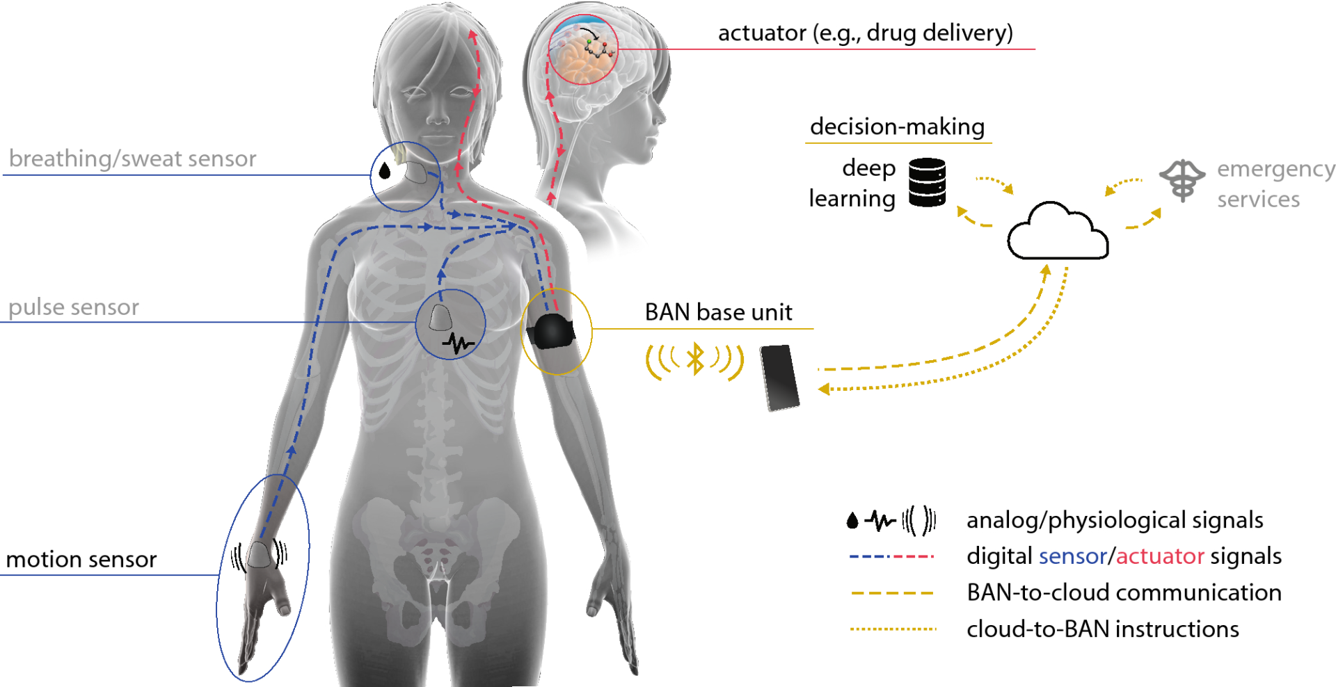 Personalized_Medicine_IoT_Healthcare.png