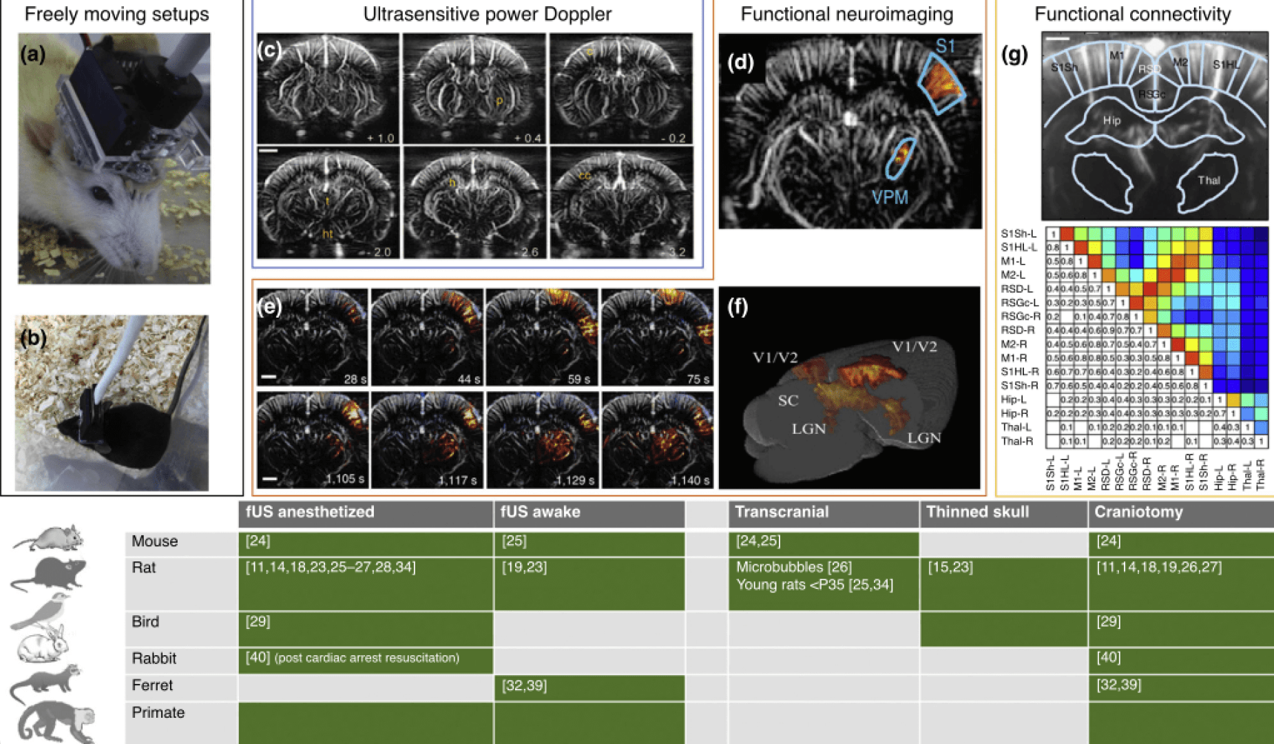 Preclinical_applications_of_fUS_imaging.png