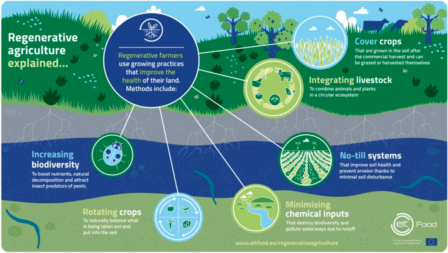 Regenerative_agriculture_explained.png