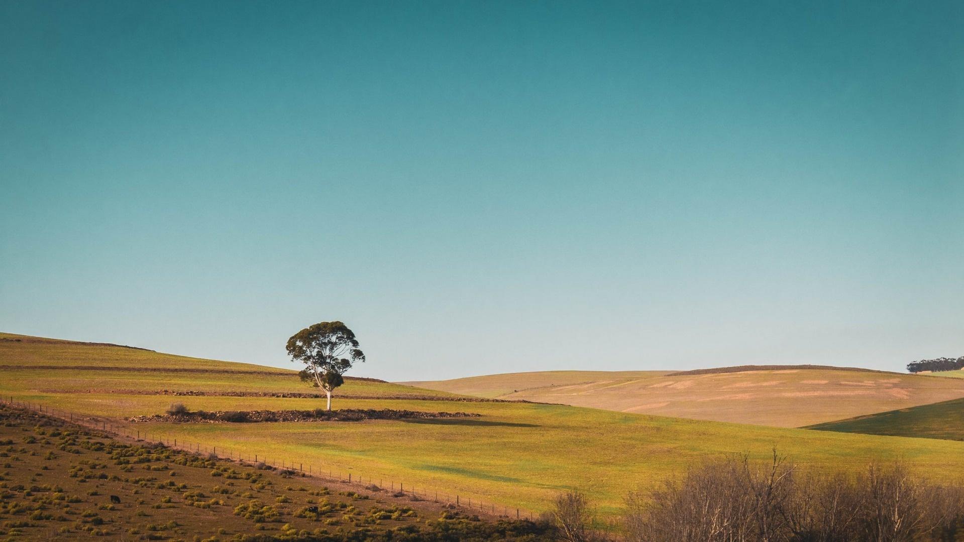 Rural_Area.jpeg