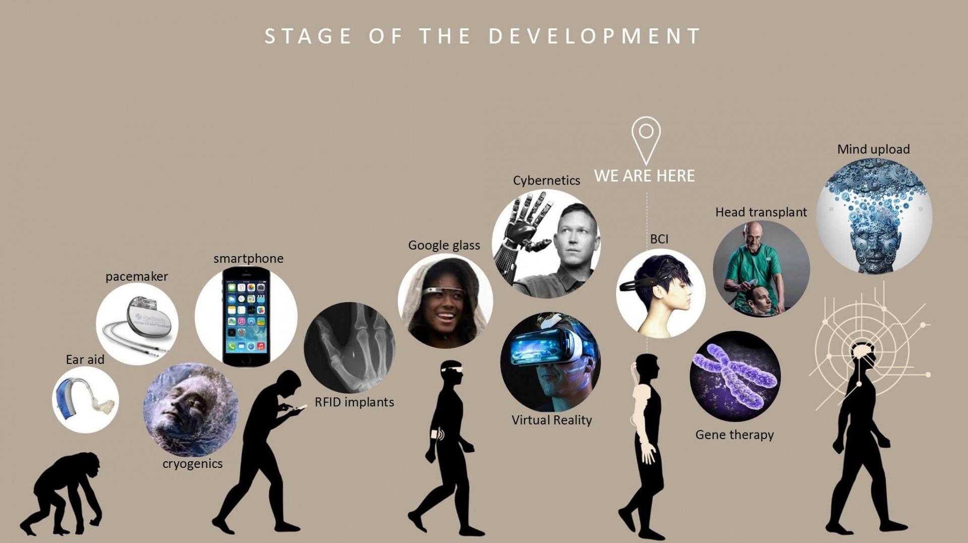 Stages_of_Human_Development.jpg