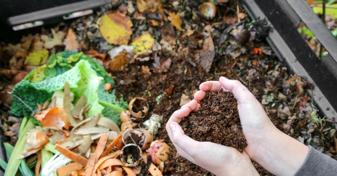 Step_by_Step_Composting.jpg