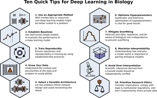 Tips_in_Deep_Learning_in_Biology.png