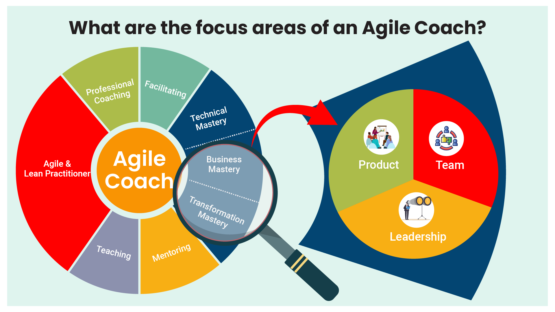 What_are_the_focus_areas_of_an_agile_coach.png