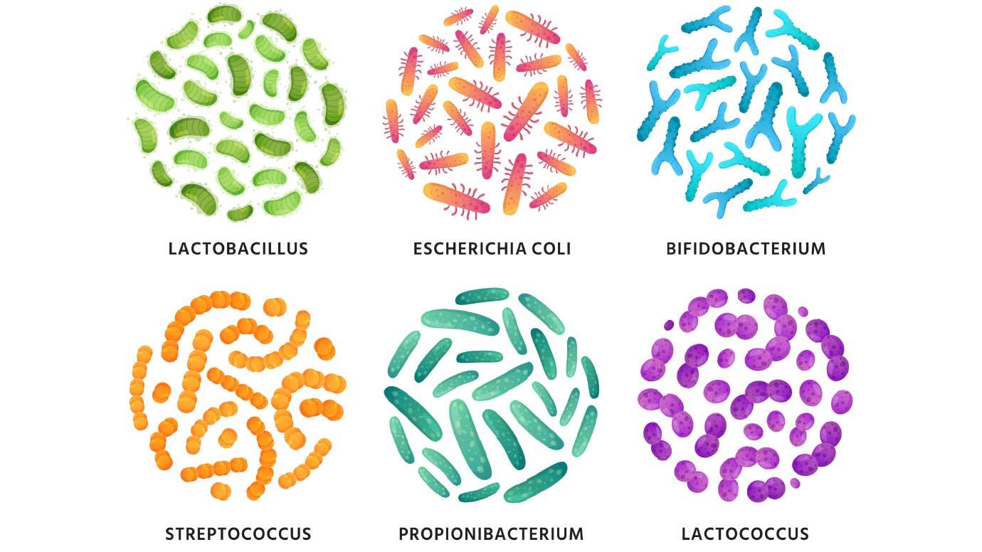 What_is_a_Microbiome.jpg