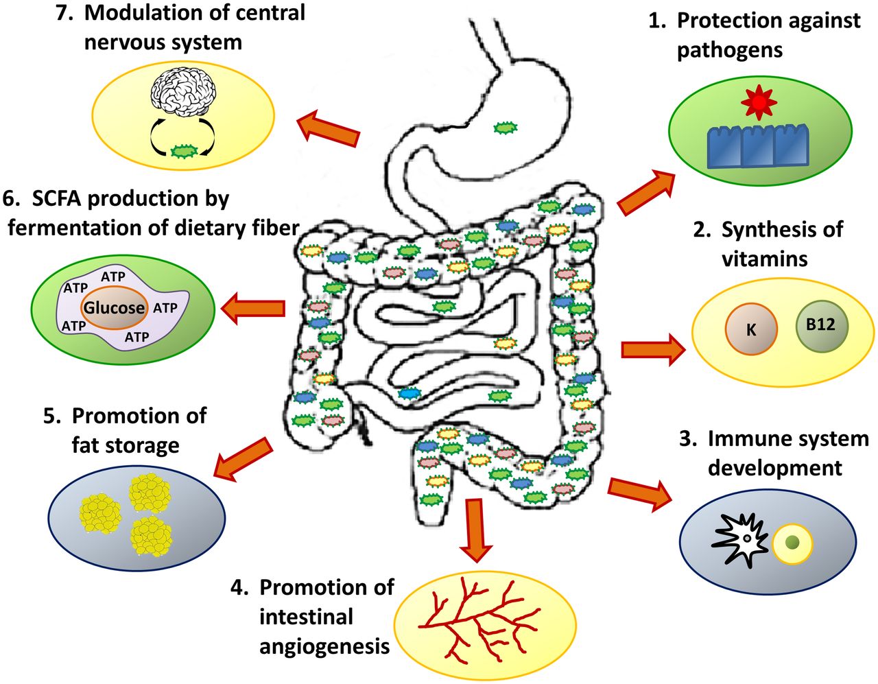 Whats_Next_for_Microbiome_Research.jpg