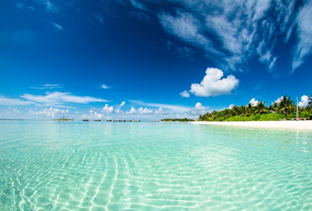 Your_Beach_Day_Upgraded.jpg