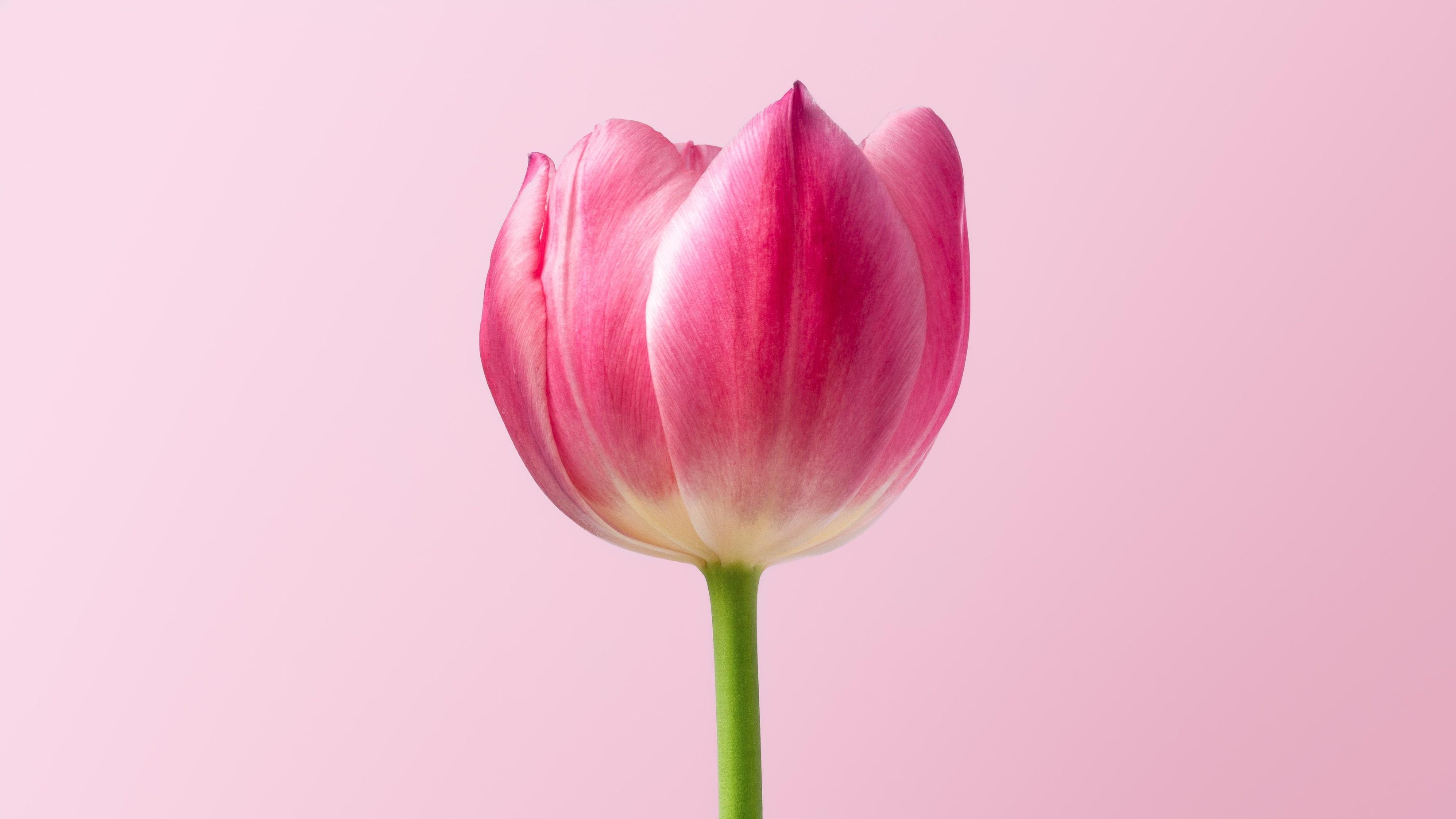 5 Exquisite Tips You Need To Follow To See a Real Change In Yourself