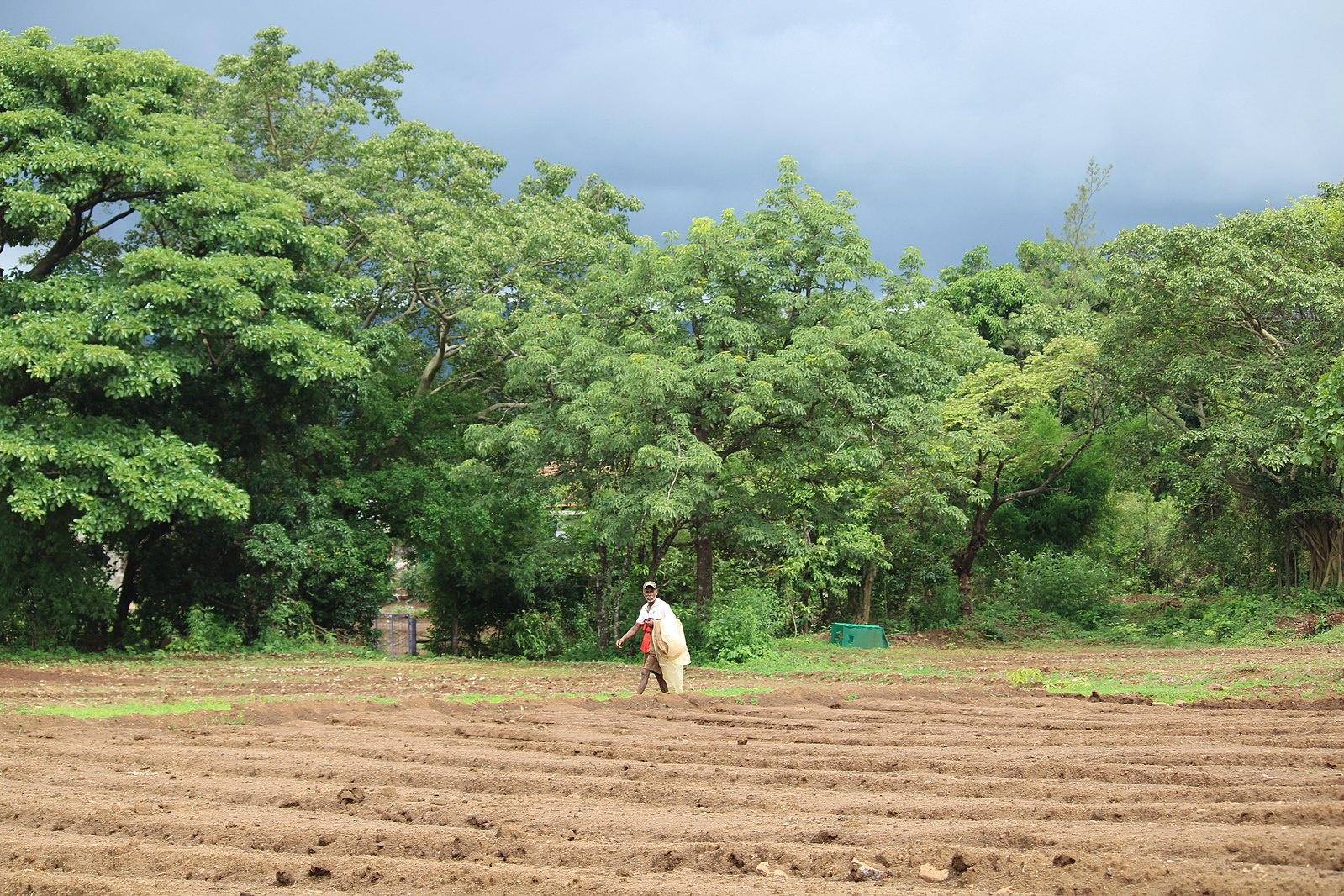 Agribusiness Subsidy Model amid the Global Food Crisis