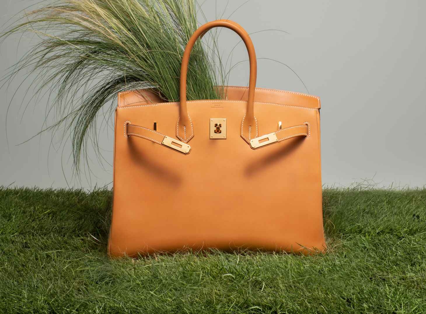 The Birkin min