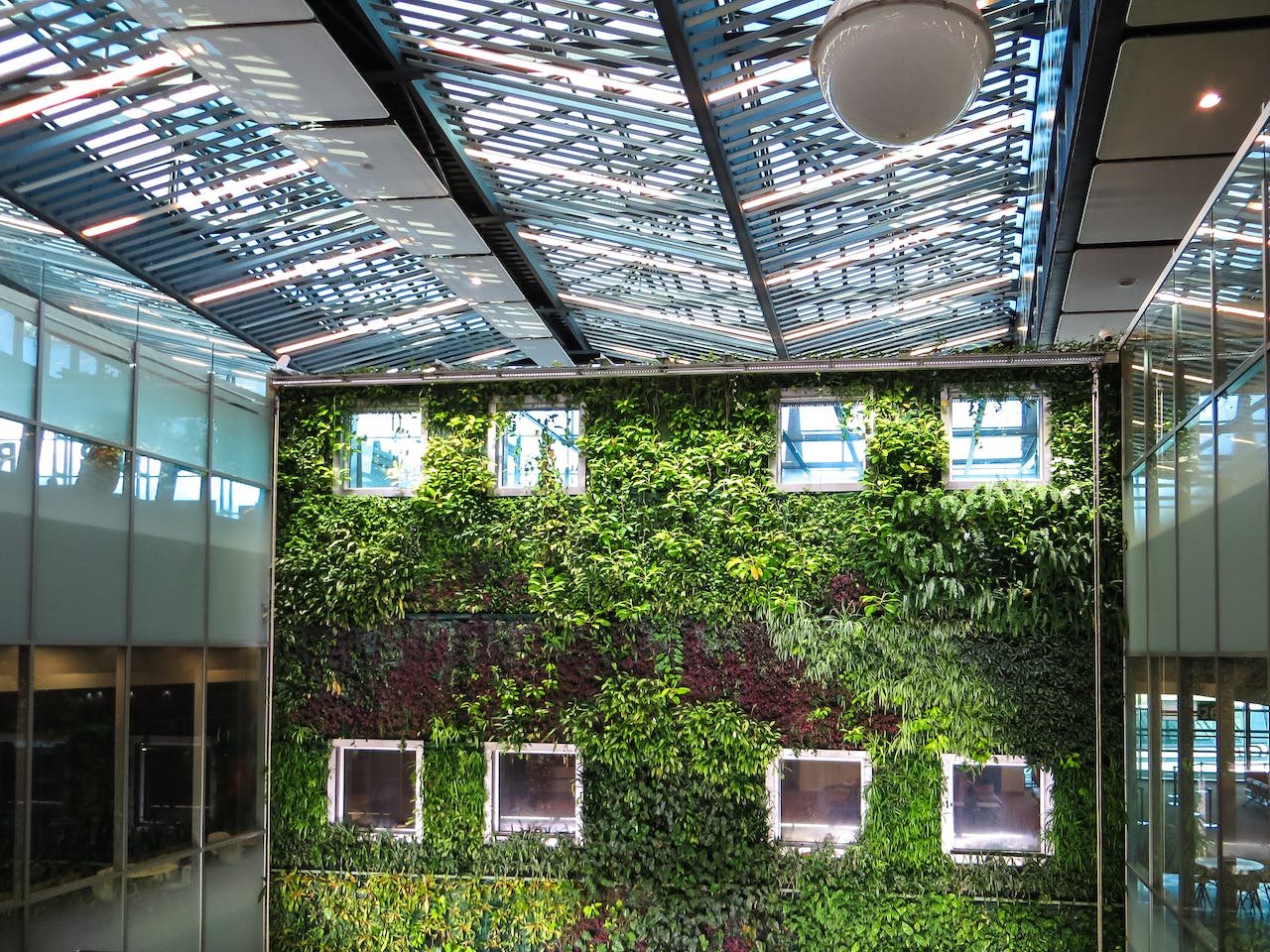 Are You Really Green? Using Social Media to Showcase Genuine Sustainability