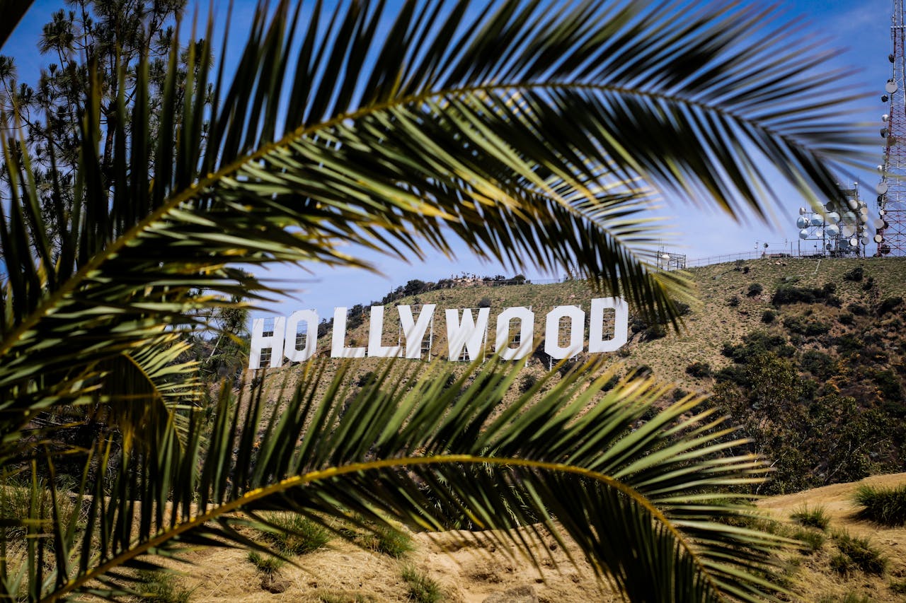 Gender Disparity in Hollywood: 80% of Movies Are Directed by Men 