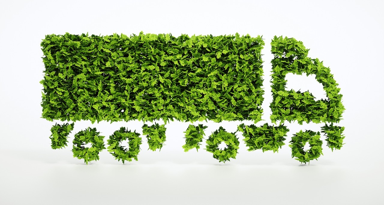 Sustainable E-commerce: How Technology is Driving Eco-Friendly Shipping Solutions