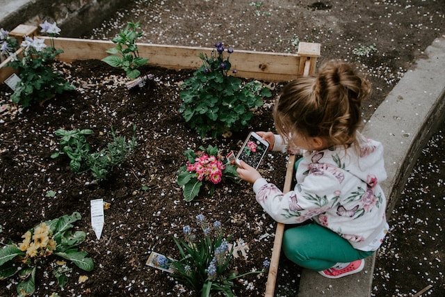 children garden